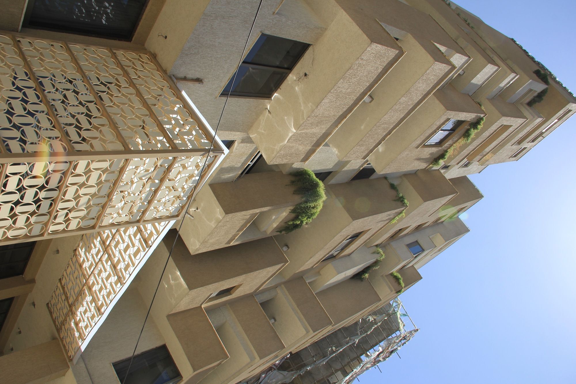 Momona Hotel Adis Abeba Exterior foto